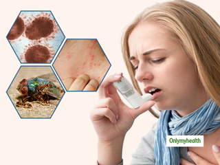Pestered By The ‘Home Invaders’? Learn How Termites Can Create Menace for Health
